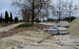 В парке Победы уничтожают краснокнижные деревья (фото)