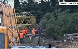 В Казачьей бухте уничтожают единственный сквер ради застройки (фото, видео)