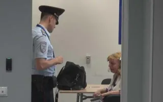 Пенсионерка из Владимира устроила пьяный дебош в самолете, летевшем в Крым