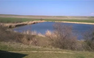 В Камышинке под видом рекультивации незаконно добывают грунт для «Тавриды»