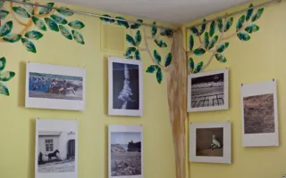 Севастопольские фотографы обратили свои объективы на братьев наших меньших