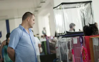 Выставка кошек в Севастополе собрала любителей и заводчиков «усатых и полосатых». Первый день