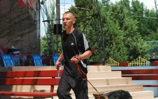 В Балаклаве завершился первый день международной выставки собак «Балаклавская жемчужина»