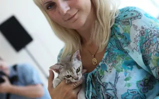 В Севастополе состоялась международная выставка кошек «Бархатный сезон- 2012»