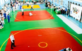 Традиционный турнир по дзюдо среди юношей и девушек на призы президента федерации самбо и дзюдо состоялся в Севастополе