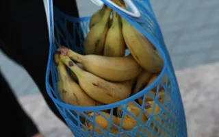 В Севастополе состоялся благотворительный концерт «Улыбнись друг другу»