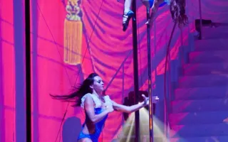 Пол-дэнс шоу «Pole Art Show: За 80 дней до конца света» в Севастополе