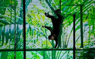 Пол-дэнс шоу «Pole Art Show: За 80 дней до конца света» в Севастополе