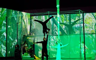 Пол-дэнс шоу «Pole Art Show: За 80 дней до конца света» в Севастополе