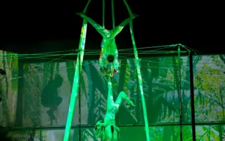 Пол-дэнс шоу «Pole Art Show: За 80 дней до конца света» в Севастополе
