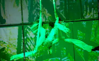 Пол-дэнс шоу «Pole Art Show: За 80 дней до конца света» в Севастополе