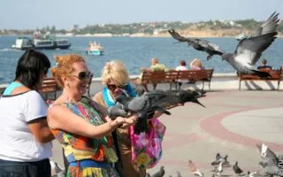 Бабье лето в Севастополе — подарок осени от уходящего лета