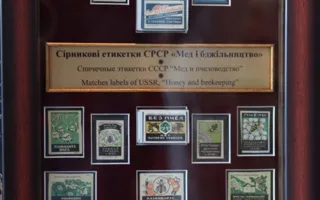 Картины воском, монеты и многое другое — на медовой выставке-ярмарке в Севастополе