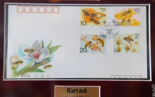 Картины воском, монеты и многое другое — на медовой выставке-ярмарке в Севастополе