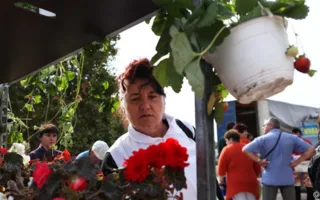 Народное гуляние по случаю трех праздников: Покрова Пресвятой Богородицы, Дня украинского казачества и Дня урожая