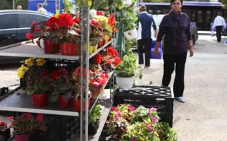 Народное гуляние по случаю трех праздников: Покрова Пресвятой Богородицы, Дня украинского казачества и Дня урожая