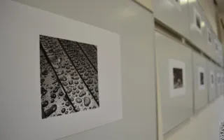 Монохромные фотографии Натальи Бабкевич: светлые, светящиеся, волшебные