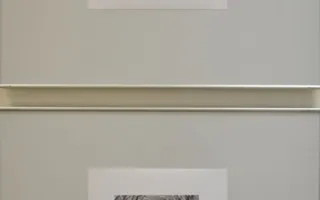 Монохромные фотографии Натальи Бабкевич: светлые, светящиеся, волшебные