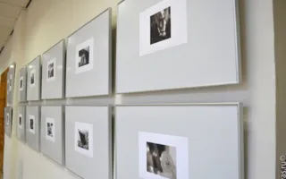 Монохромные фотографии Натальи Бабкевич: светлые, светящиеся, волшебные