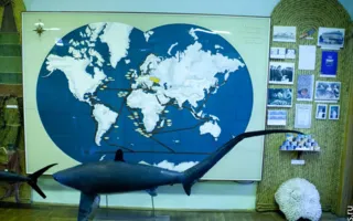 Народный музей истории развития рыбной промышленности Юга Украины отметил 40-летие