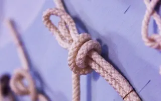 Народный музей истории развития рыбной промышленности Юга Украины отметил 40-летие