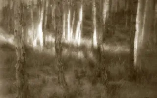 Севастопольские фотографы показали свои пейзажные снимки