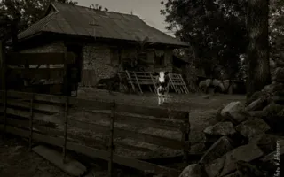 Севастопольские фотографы показали свои пейзажные снимки