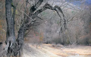 Севастопольские фотографы показали свои пейзажные снимки