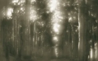 Севастопольские фотографы показали свои пейзажные снимки