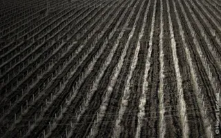 Севастопольские фотографы показали свои пейзажные снимки