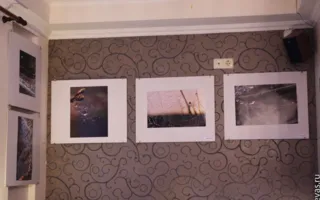 Макромир глазами севастопольских фотографов