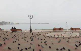 Ностальгия по осени чувствовалась на открытии выставки «Осеннее вдохновение» фотошколы «Перспектива»