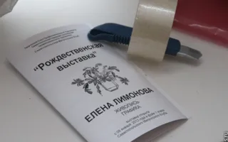 В Севастополе открылась «Рождественская выставка» художницы Елены Лимоновой