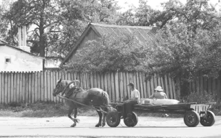 «Параллели счастья» — тематическая выставка фотографий Олеси Анатольевой в «Атриуме»