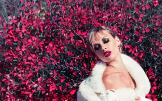 В арт-пабе «Top Beer» открылась фотовыставка севастопольских fashion-фотографов