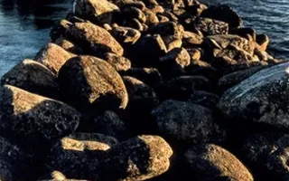 В Севастополе открылась выставка известных московских фотографов