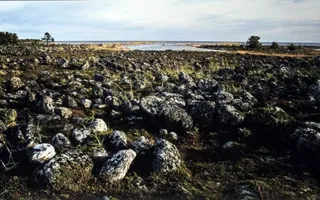 В Севастополе открылась выставка известных московских фотографов