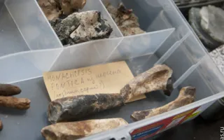 Гармоничное сочетание природной красоты и рукотворного изящества на выставке-ярмарке «Крым самоцветный»