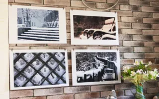 «Затейливый мир» через призму севастопольских фотографов