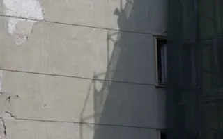 «Затейливый мир» через призму севастопольских фотографов