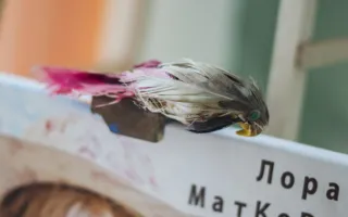Художница Лора Матковская представила в Севастополе свою необычную живопись