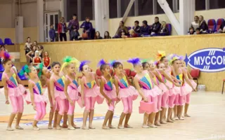 Неудачный дебют севастопольского СК «Муссон» в матче чемпионата высшей лиги по баскетболу