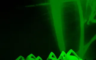 В День влюбленных в Севастополе определили лучшую любящую пару города