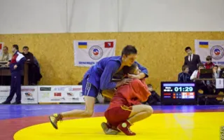 В Севастополе состоялся Всеукраинский чемпионат по спортивному и боевому самбо