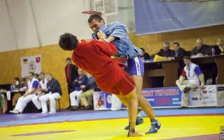 В Севастополе состоялся Всеукраинский чемпионат по спортивному и боевому самбо