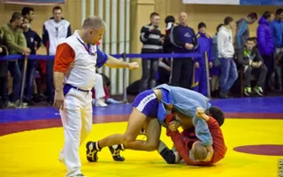 В Севастополе состоялся Всеукраинский чемпионат по спортивному и боевому самбо