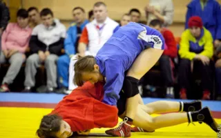 В Севастополе состоялся Всеукраинский чемпионат по спортивному и боевому самбо