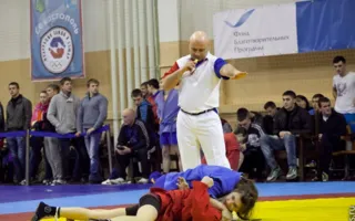 В Севастополе состоялся Всеукраинский чемпионат по спортивному и боевому самбо