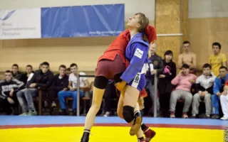 В Севастополе состоялся Всеукраинский чемпионат по спортивному и боевому самбо