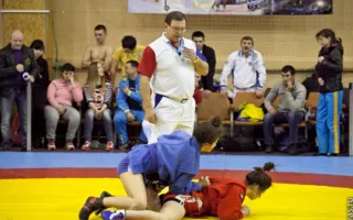 В Севастополе состоялся Всеукраинский чемпионат по спортивному и боевому самбо
